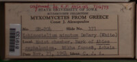 Image Associated With the Occurence